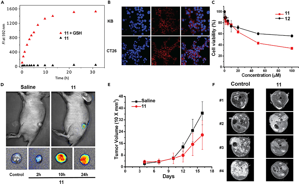 Figure 13.