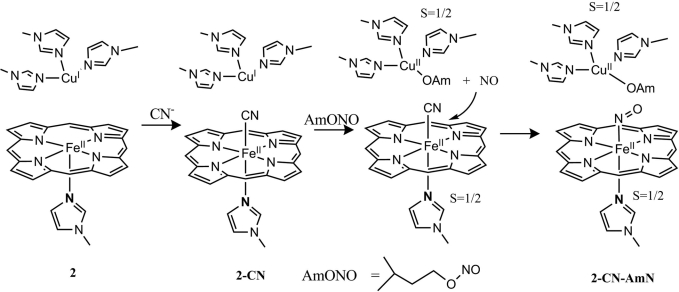 Scheme 2.