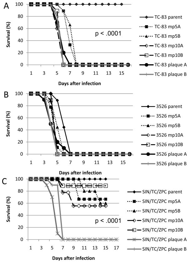 FIG 1