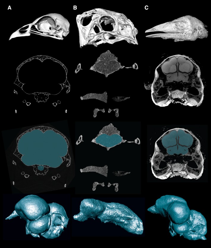 Figure 2