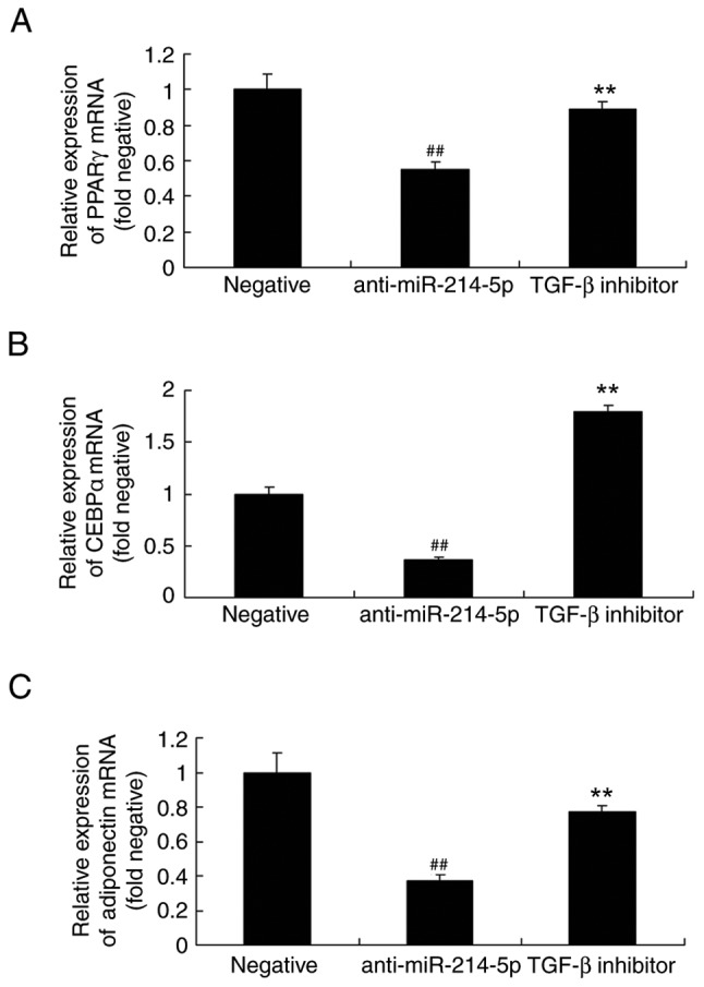 Figure 11.