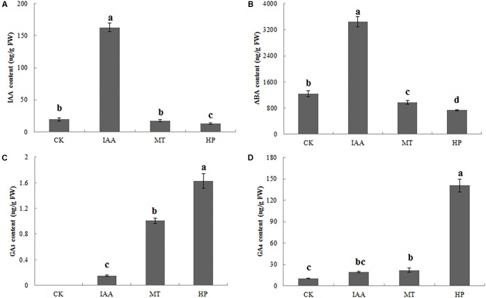 FIGURE 3