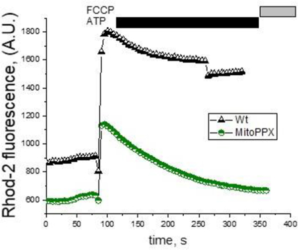 Figure 5.