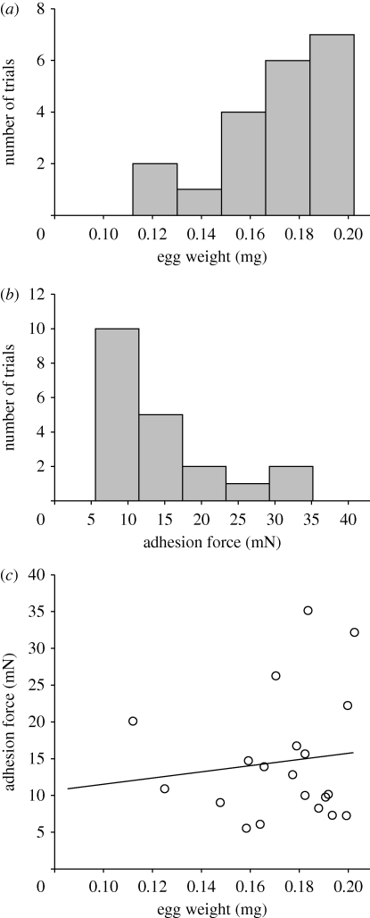 Figure 6.