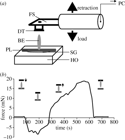 Figure 1.