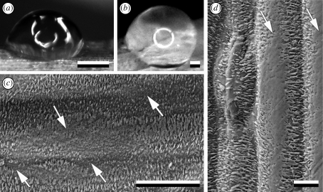 Figure 4.