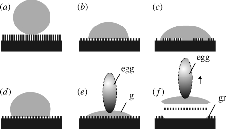 Figure 7.