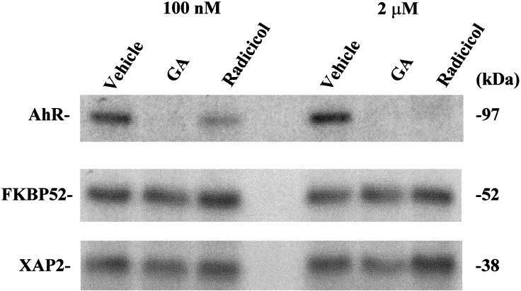 Fig 6.