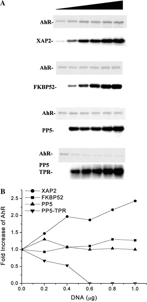 Fig 2.