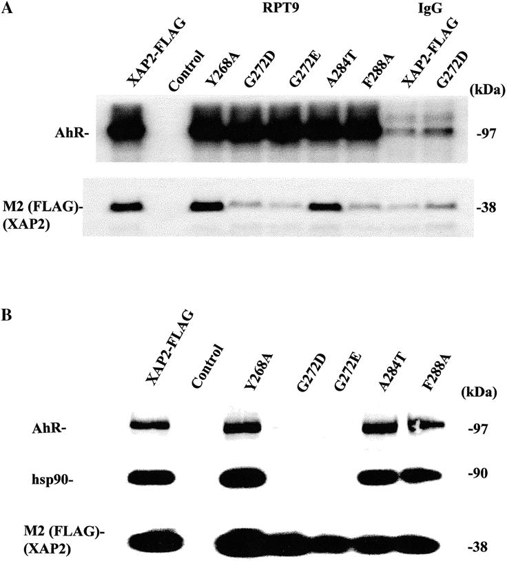 Fig 4.