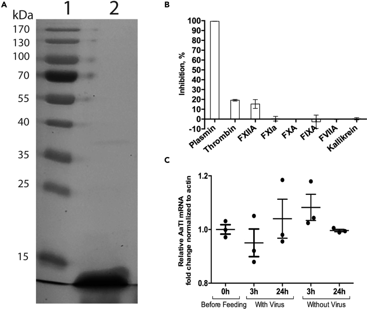 Figure 2