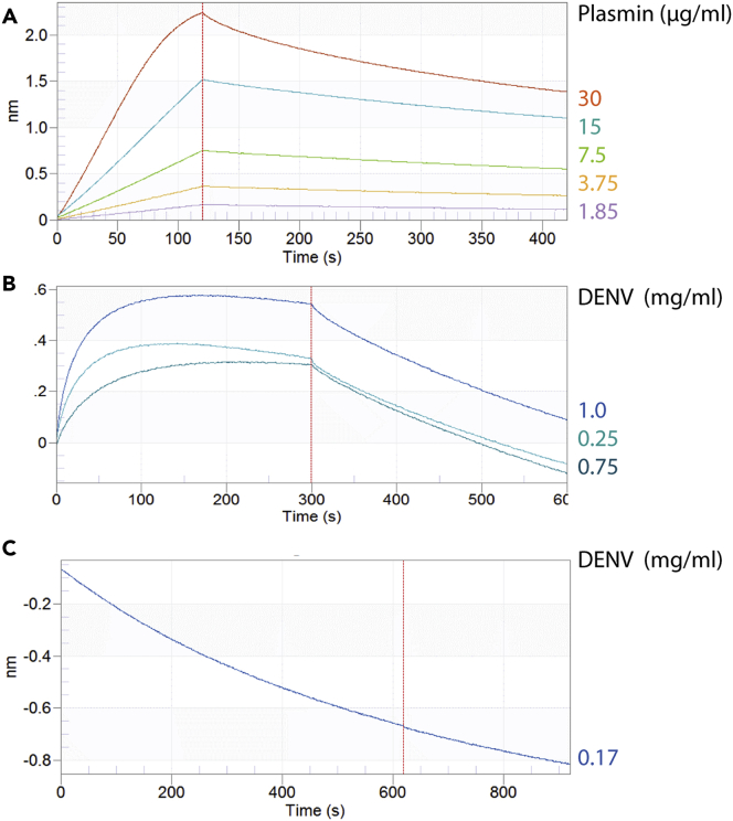 Figure 5