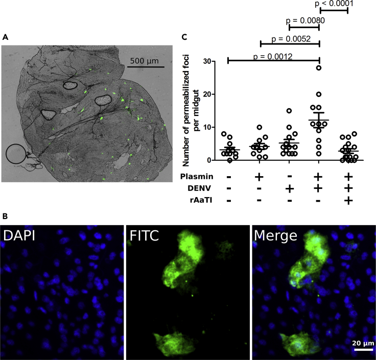 Figure 6