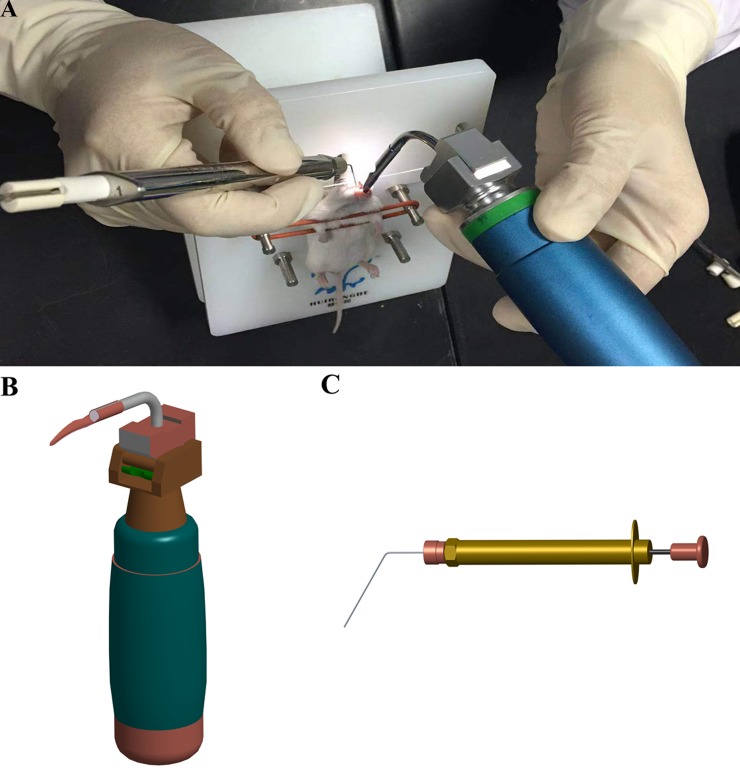 Fig 1