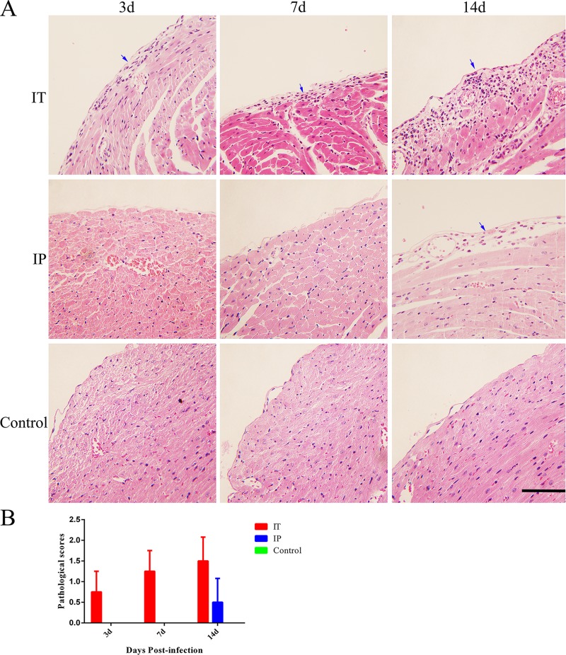 Fig 3