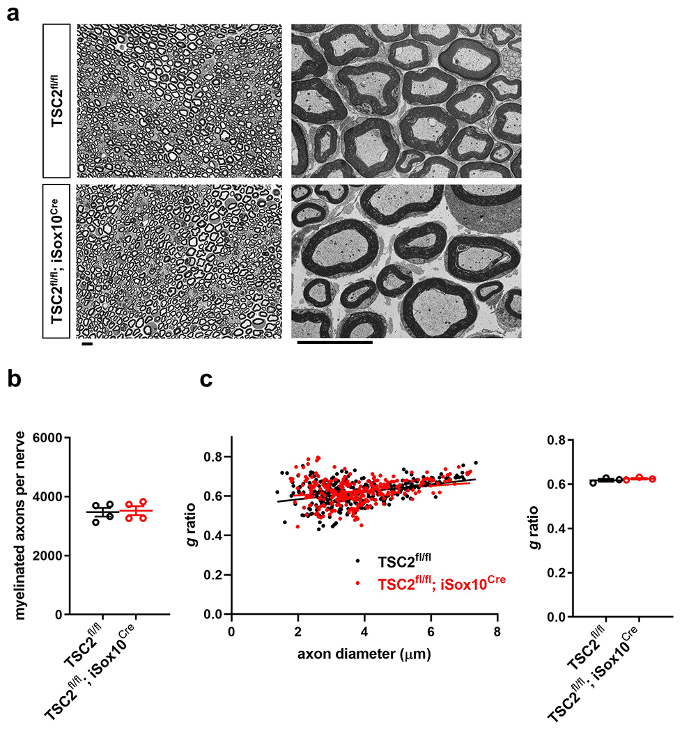 Extended Data Fig. 9