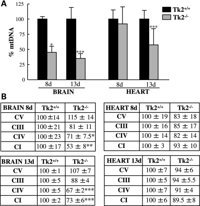 Figure 4.