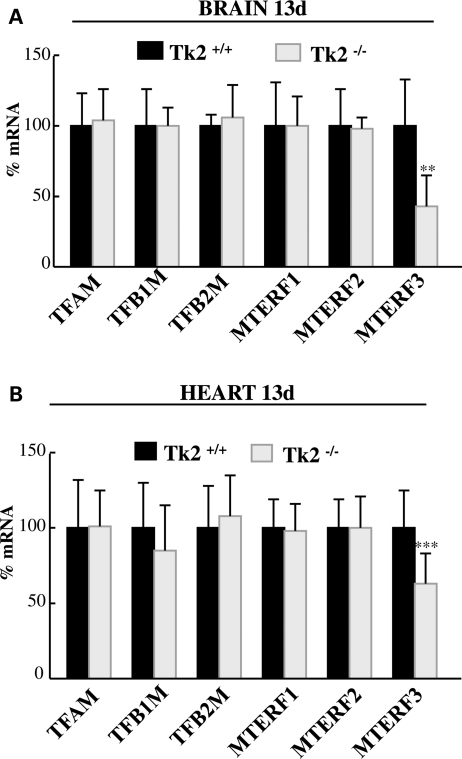 Figure 6.