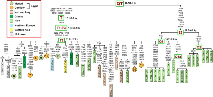 Fig 2