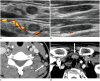 Fig. 8