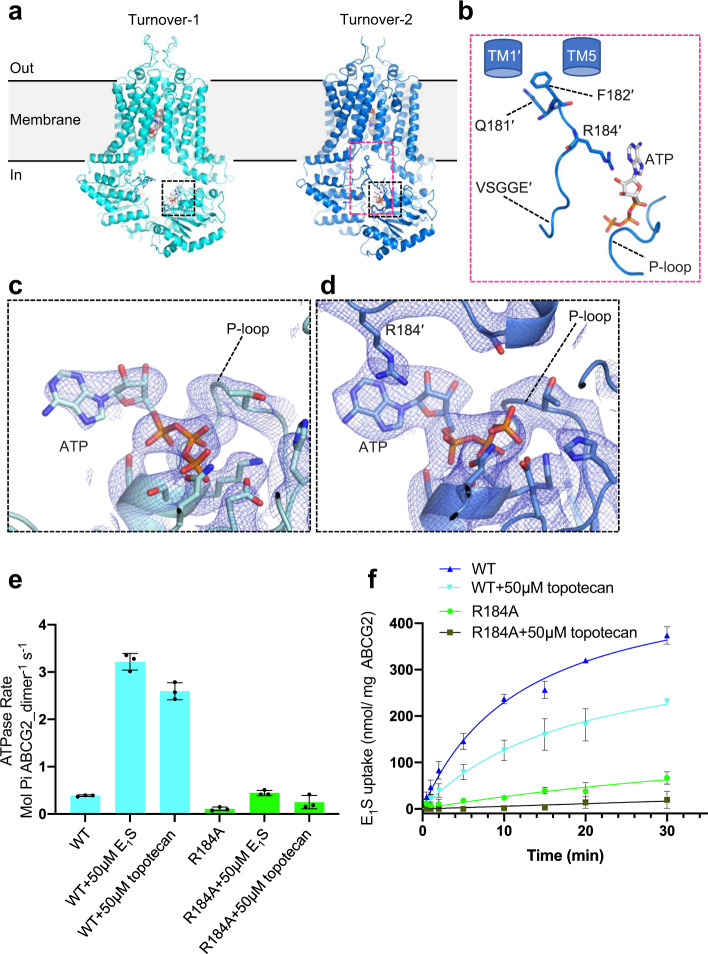 Fig. 3