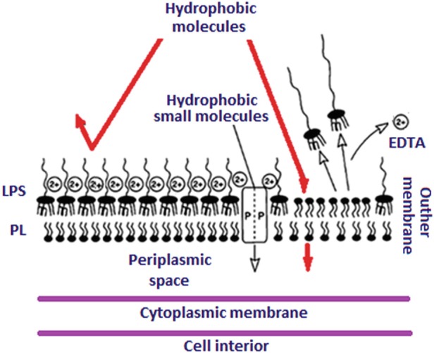 Fig. 15.3