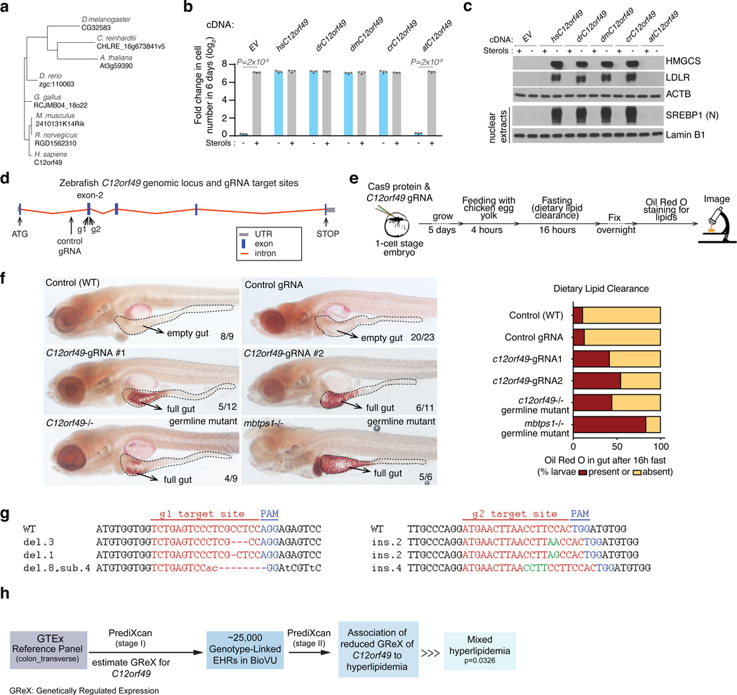 Figure 4,