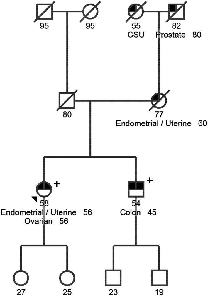 FIGURE 1