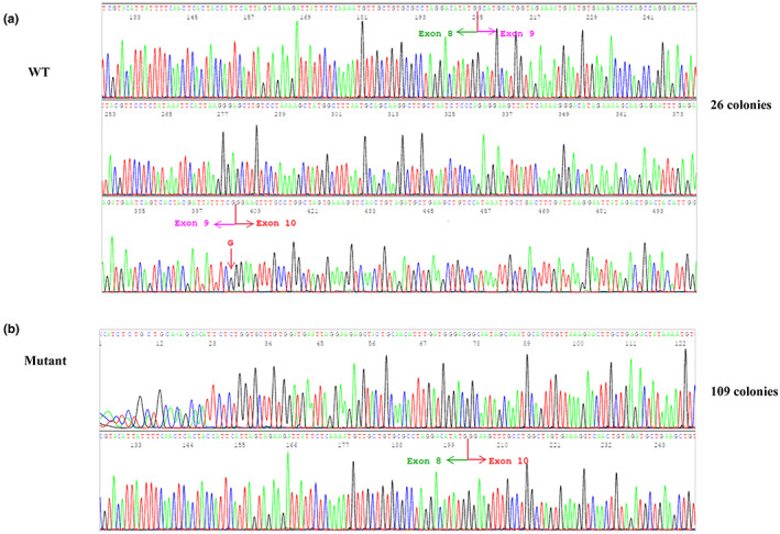 FIGURE 4