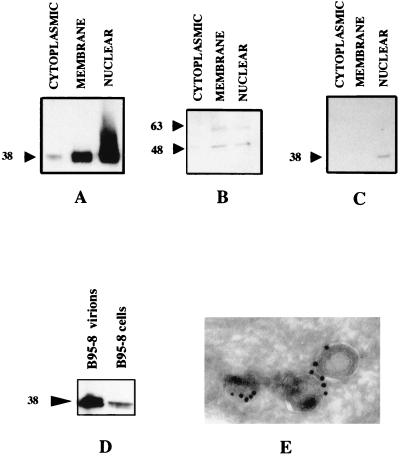 FIG. 5