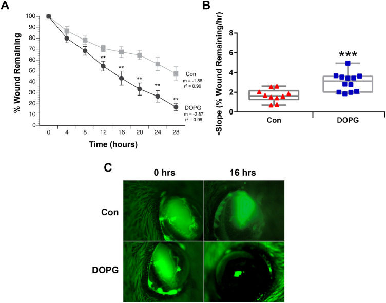 Figure 6.