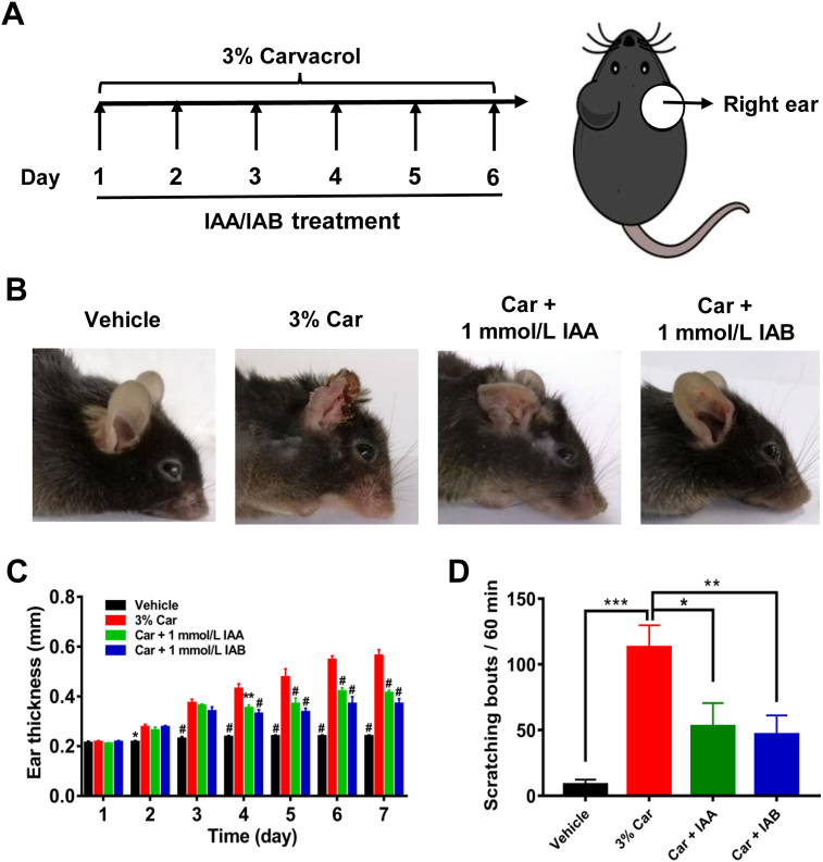 Figure 4