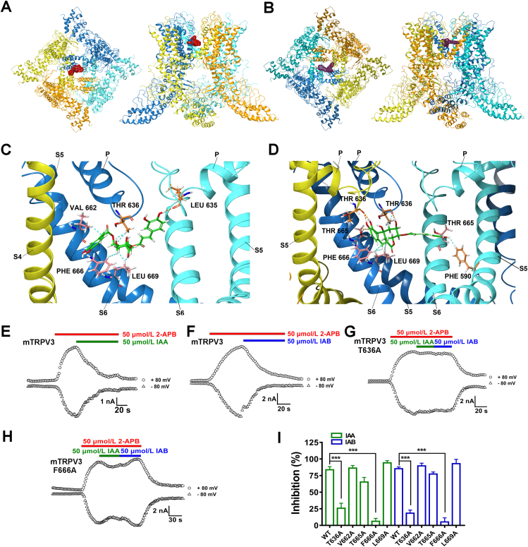 Figure 6