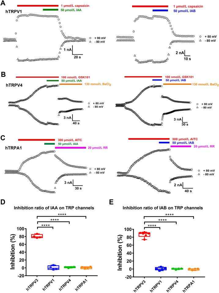 Figure 2