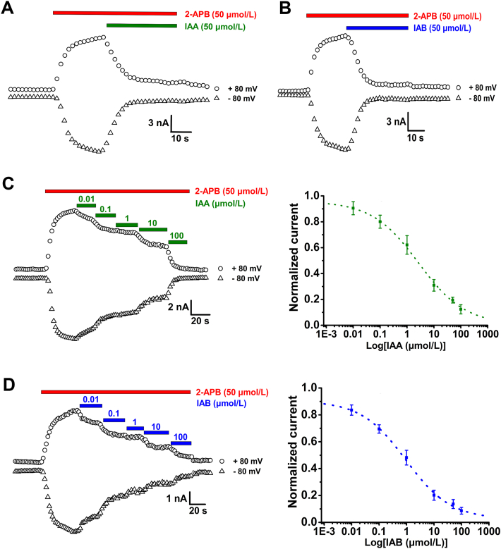 Figure 1