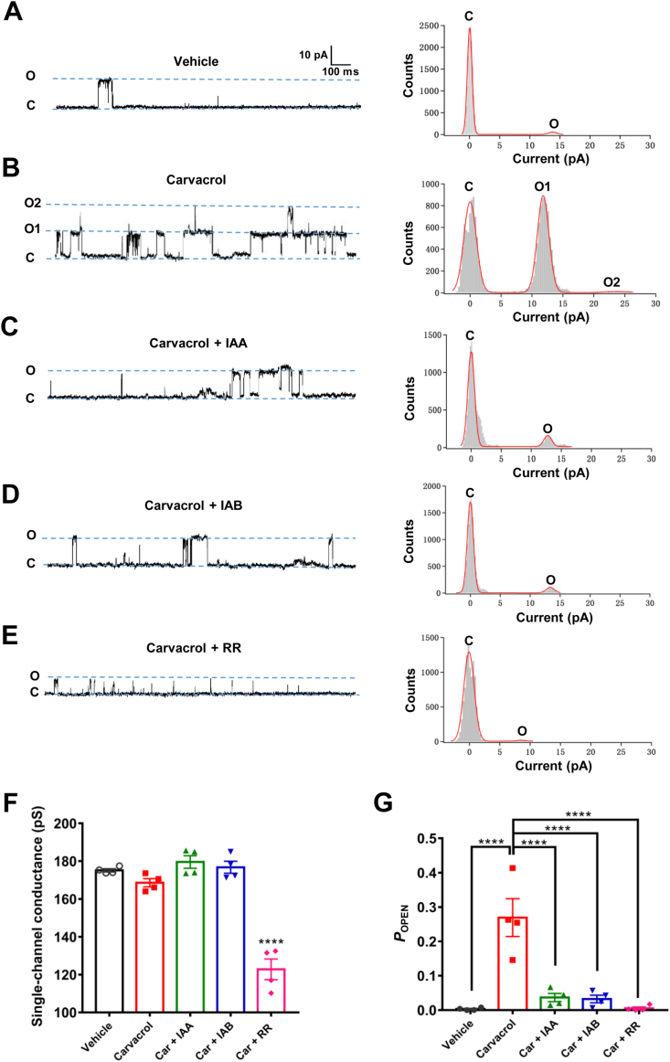 Figure 3