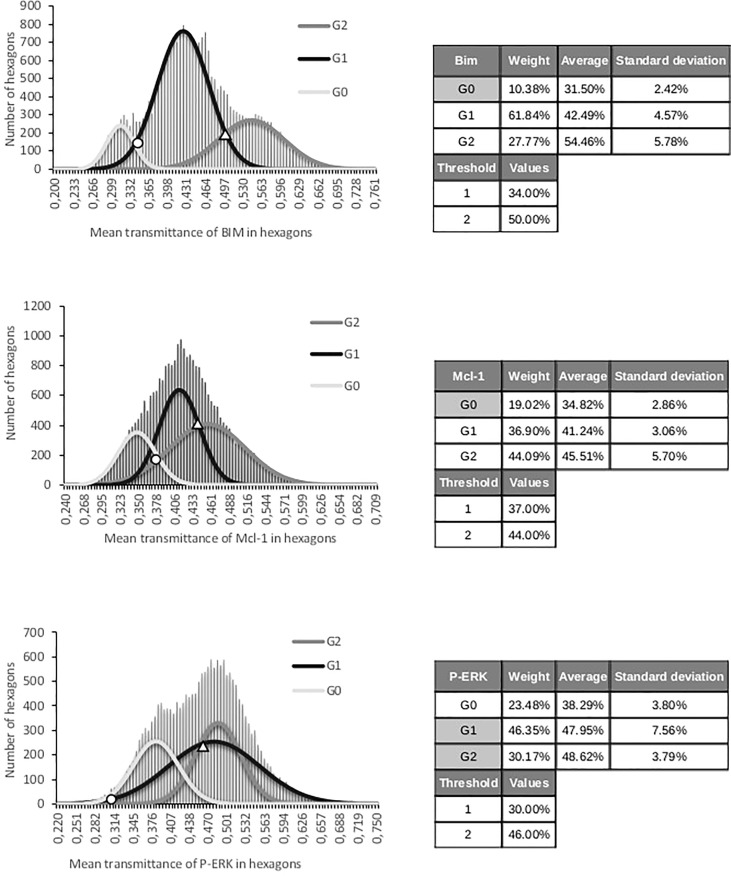 Figure 4