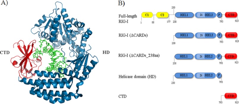 FIGURE 1.