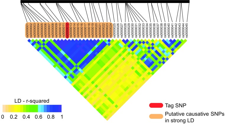 Fig. 3