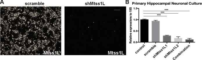 Figure 6—figure supplement 1.