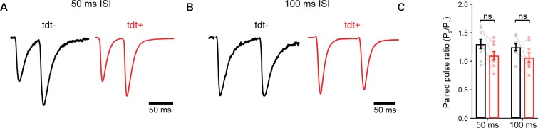 Figure 2—figure supplement 2.