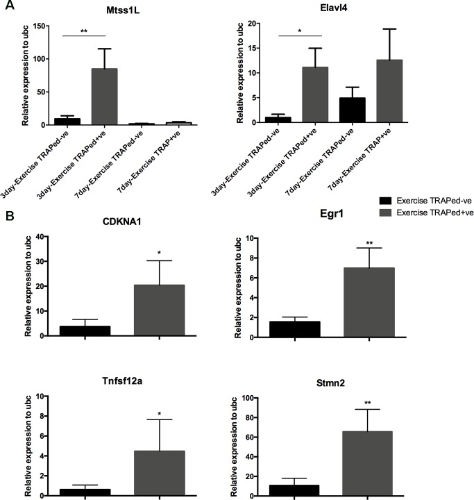 Figure 3—figure supplement 2.