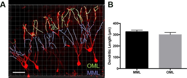 Figure 2—figure supplement 1.