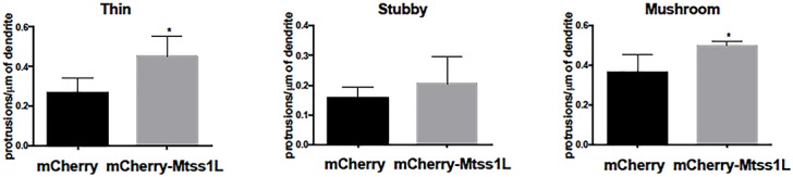 Figure 5—figure supplement 1.