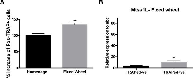 Figure 3—figure supplement 3.