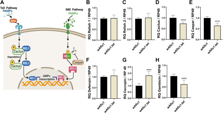 Figure 2