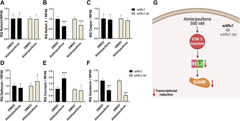 Figure 3