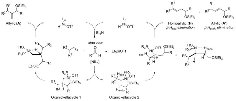 Scheme 7