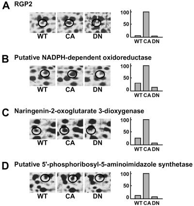 Figure 2.