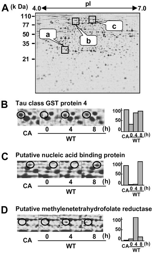 Figure 3.